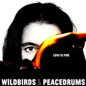 Wildbirds & Peacedrums
