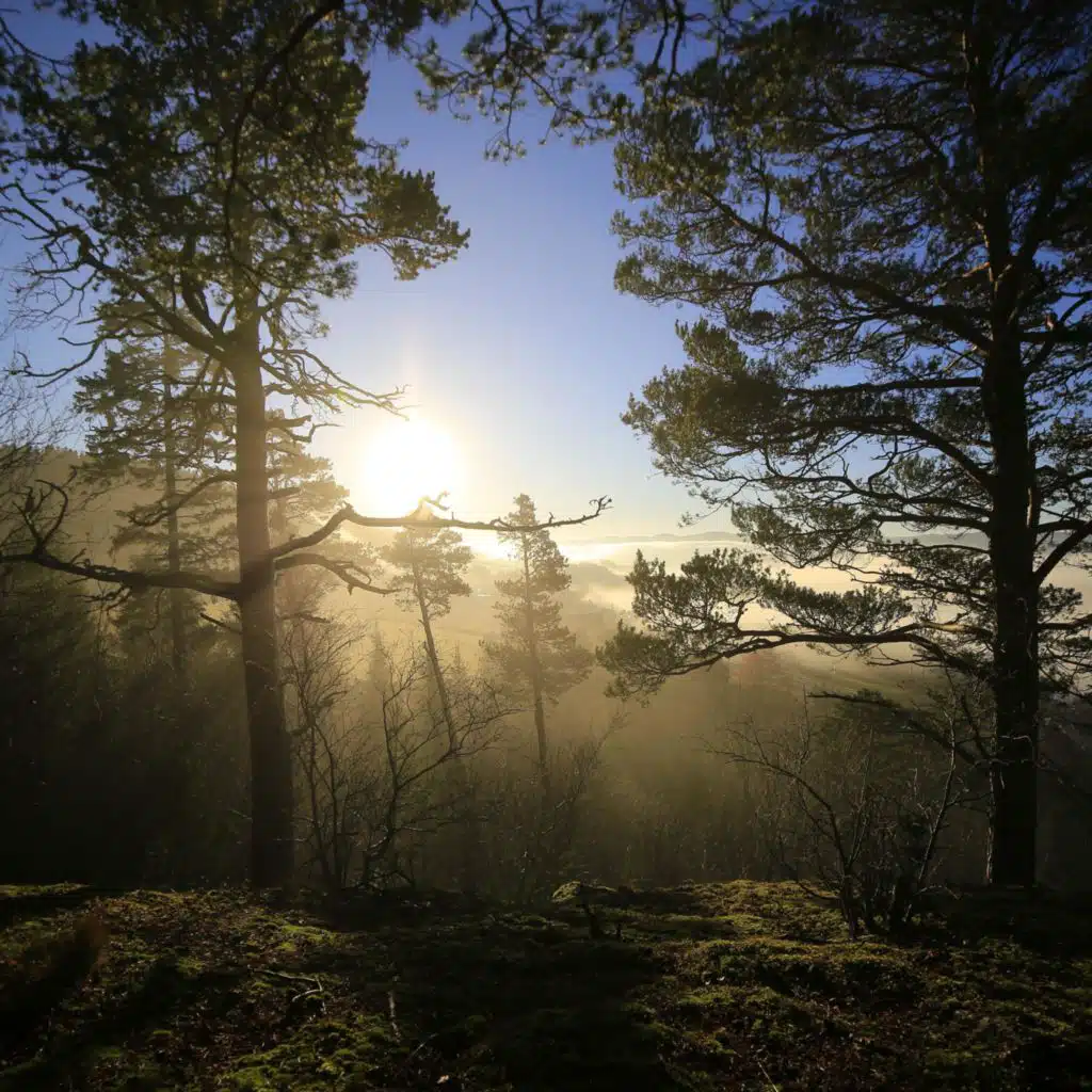 Wait (feat. Hegelund)