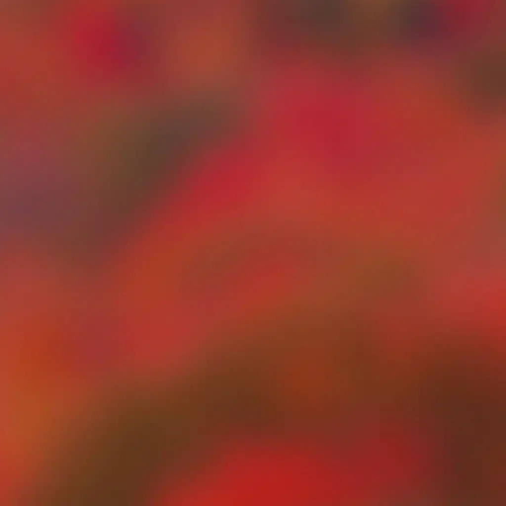 Objects of My Affection