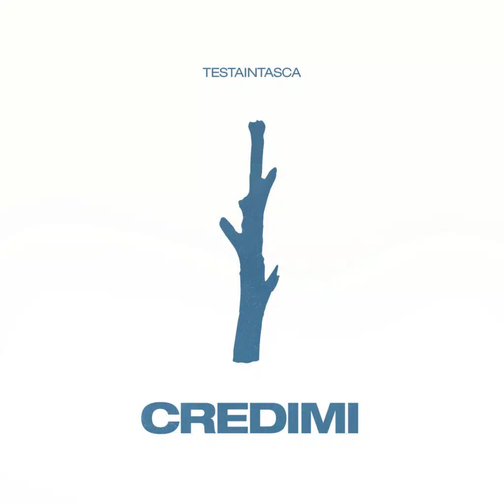 Testaintasca