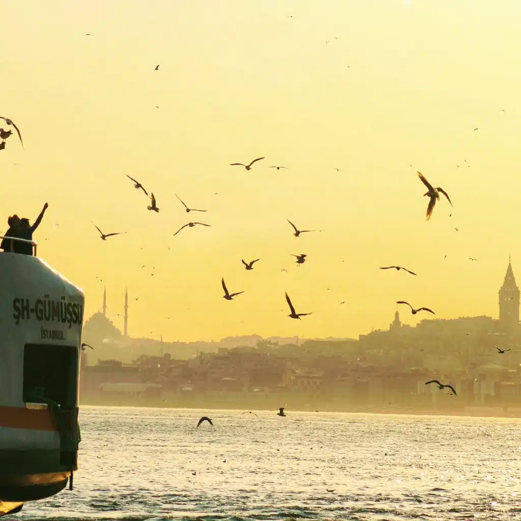 Yara Min (feat. Hirai Zerdüş)