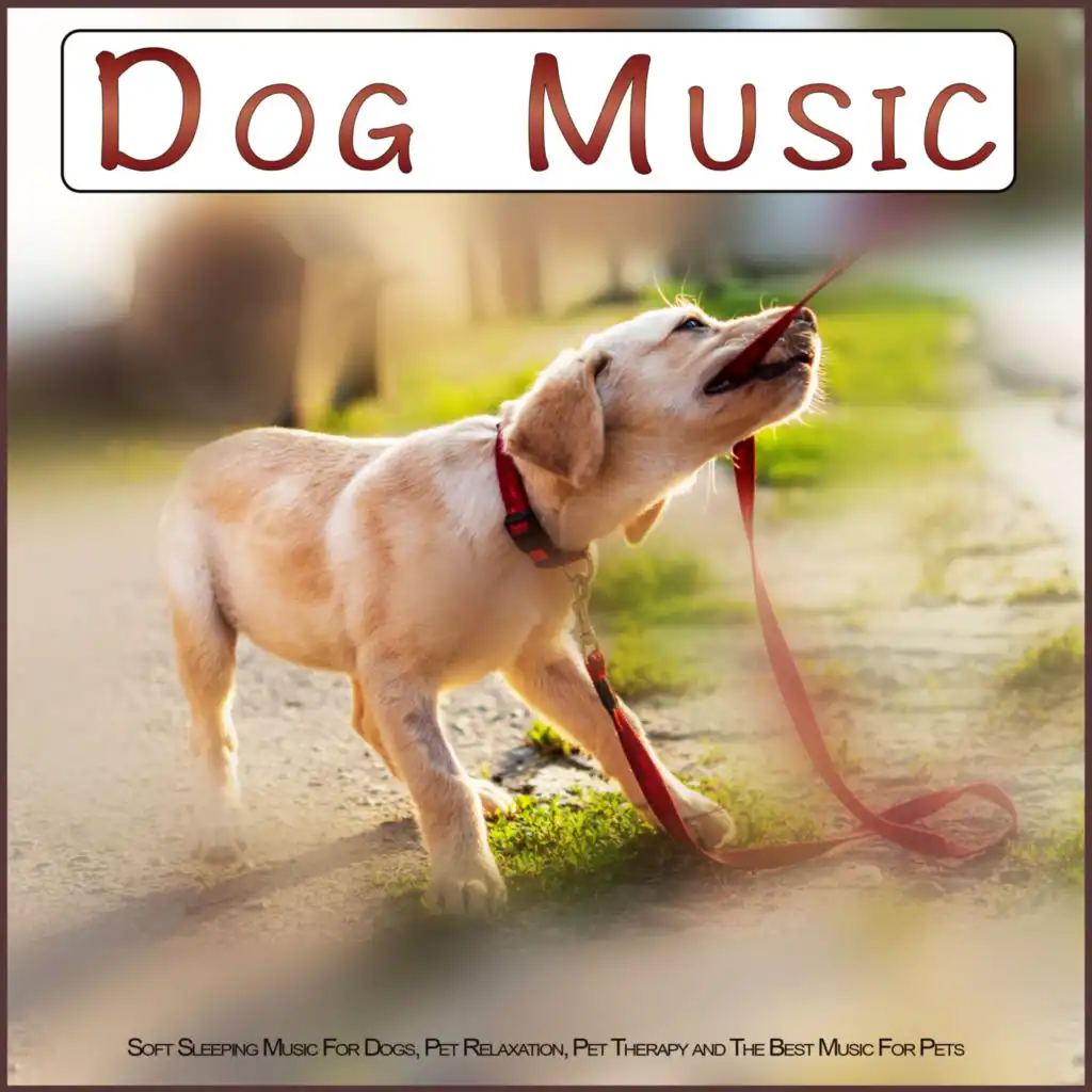 The Best Dog Music