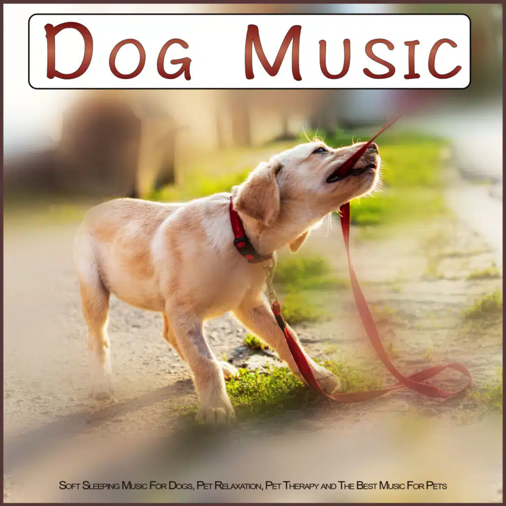Dog Music, Dog Music Experience, Music For Dogs