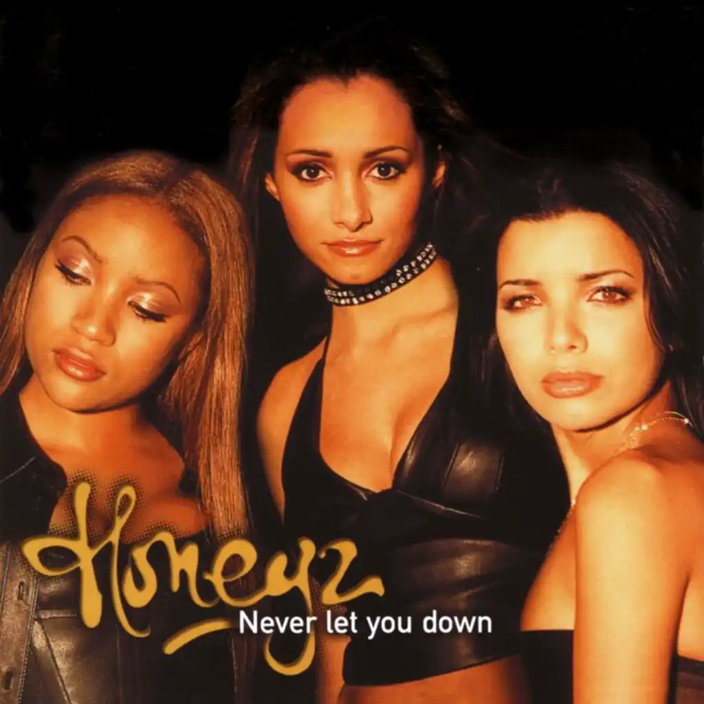 Never Let You Down (Honky Mix)