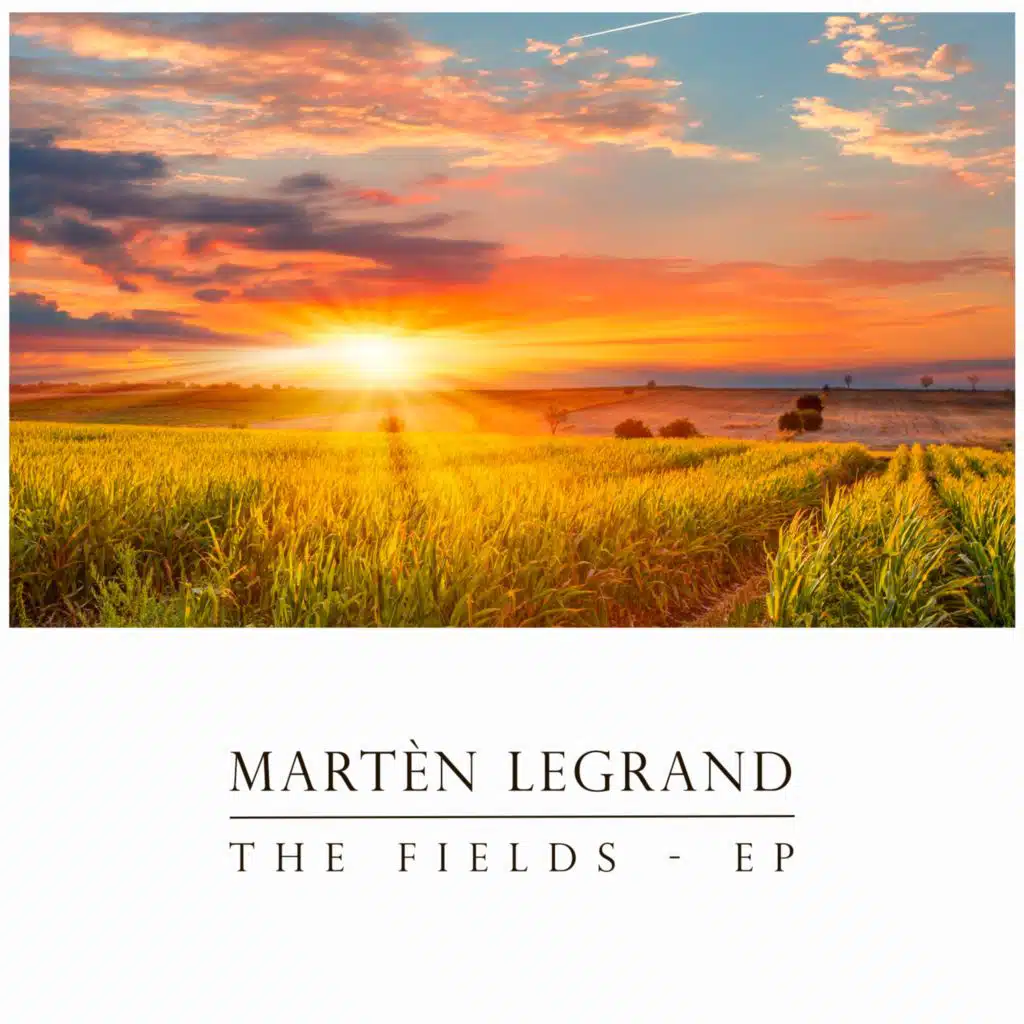 Fields Of Fallen Leaves