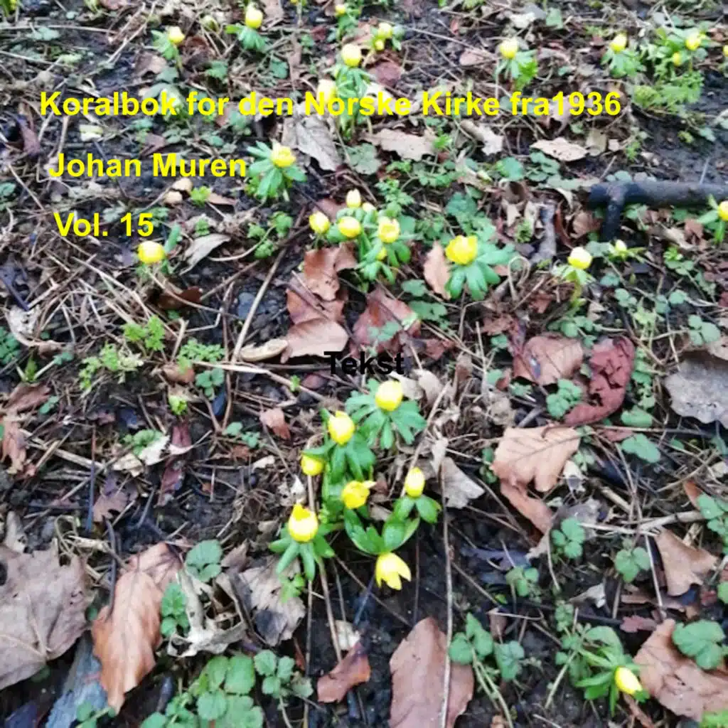 Nu rinner solen op (Melodi B)