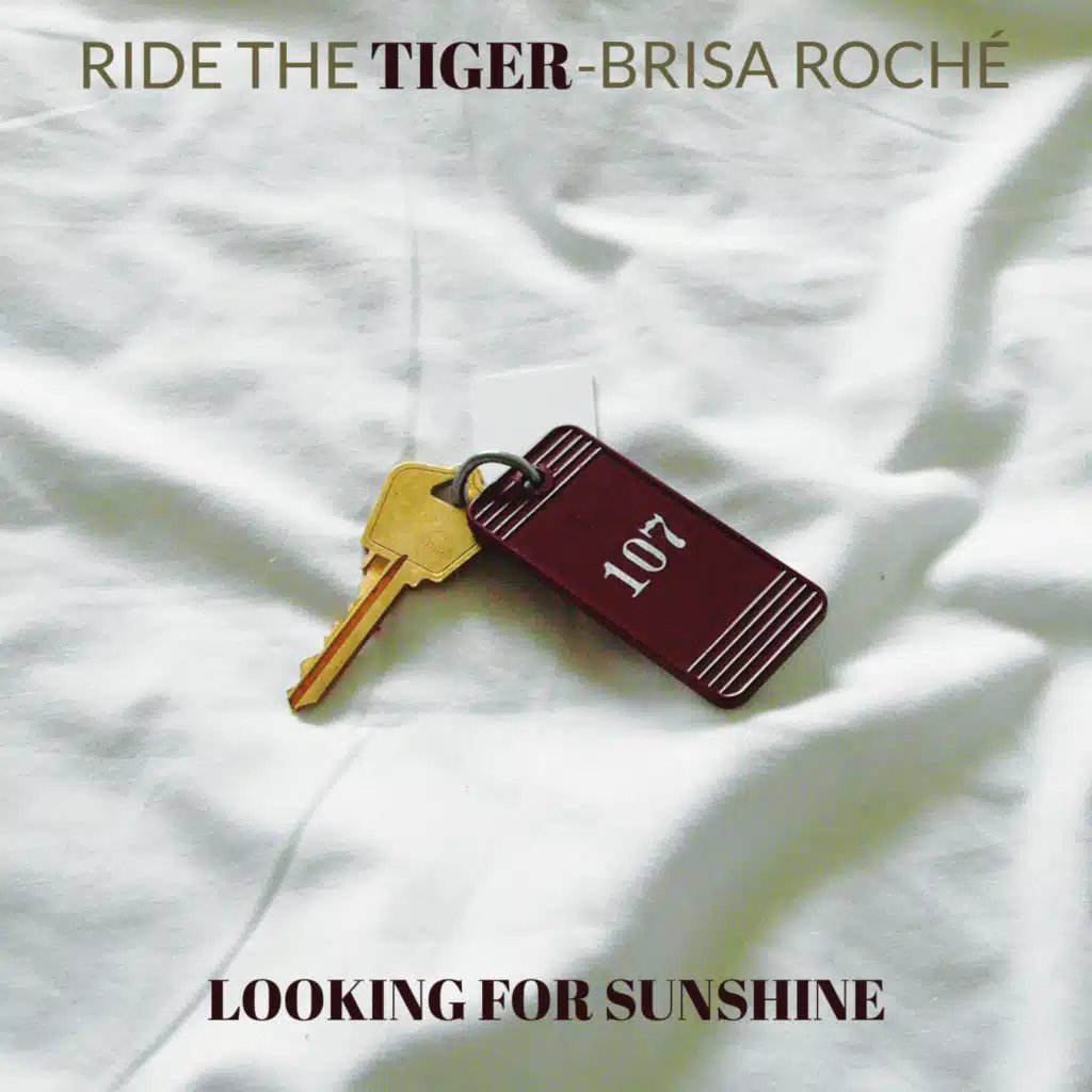 Looking For Sunshine (feat. Brisa Roché)