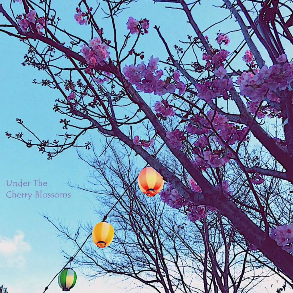 Under The Cherry Blossoms