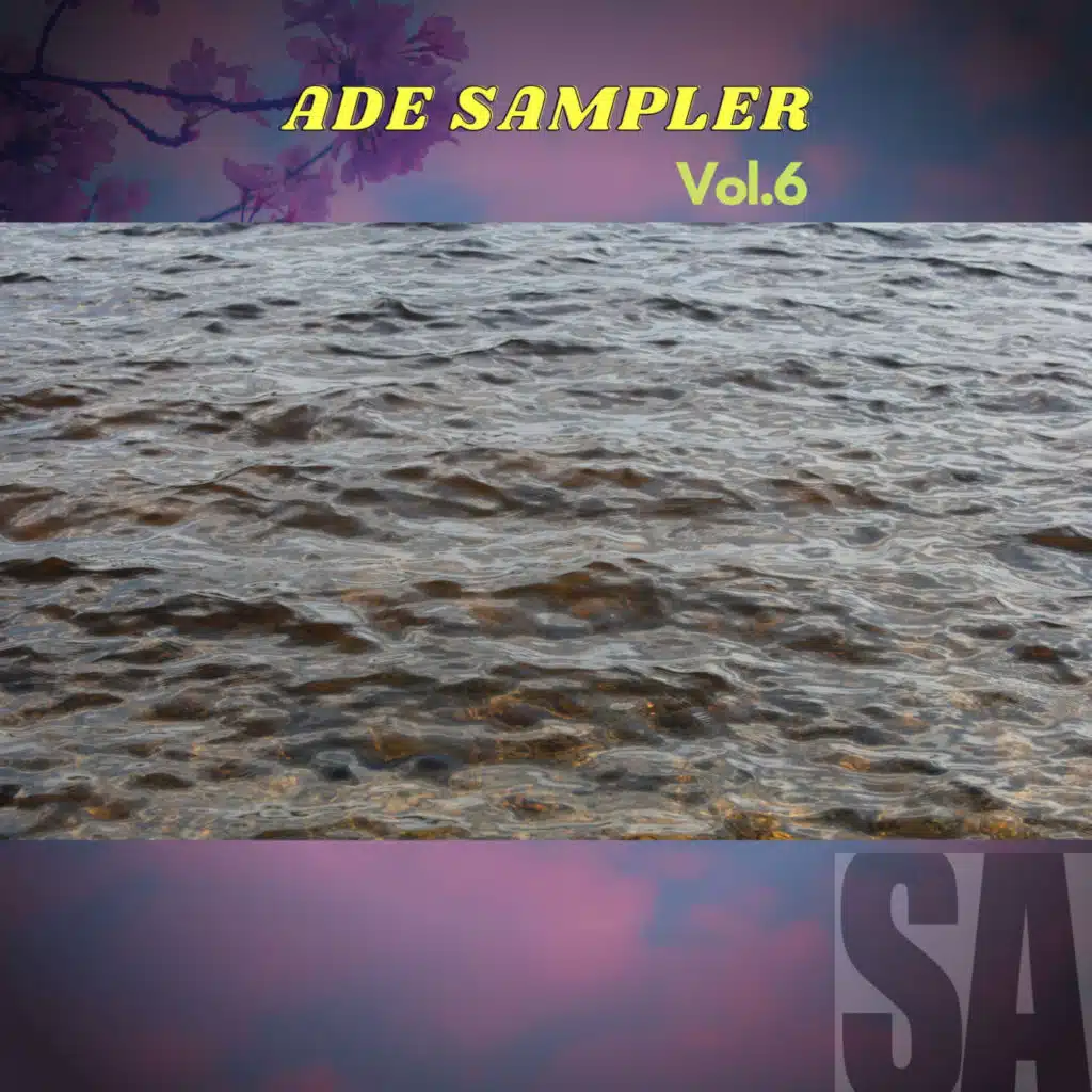 ADE SAMPLER , Vol.6