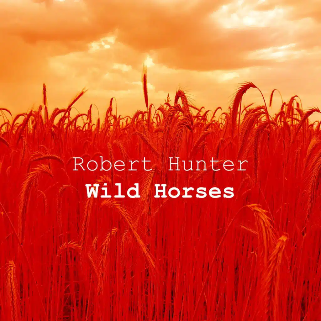 Wild Horses (Extended Mix)