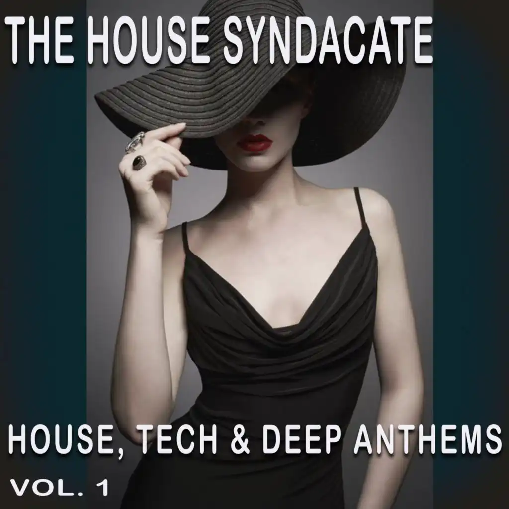 The House Syndacate, Vol. 1