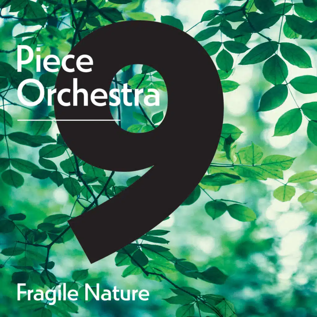 9 Piece Orchestra: Fragile Nature