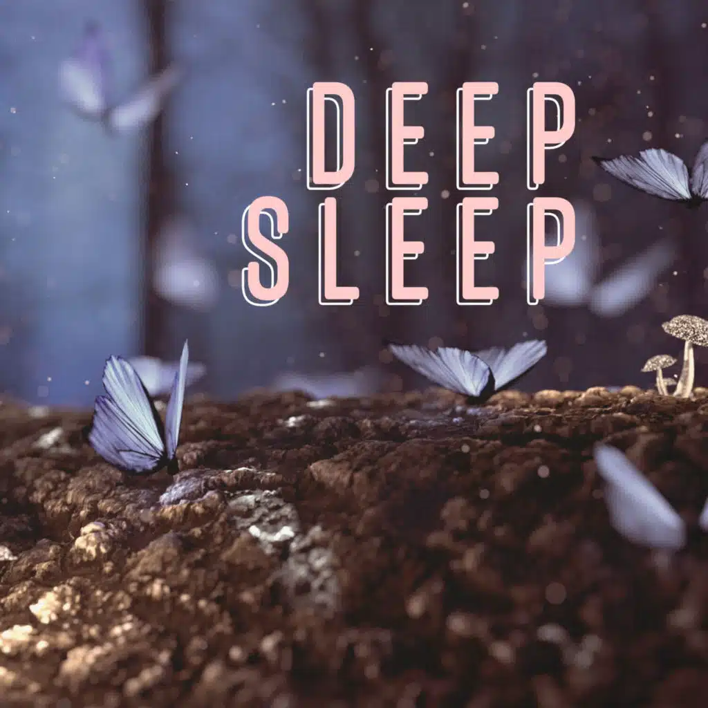 Deep Sleep