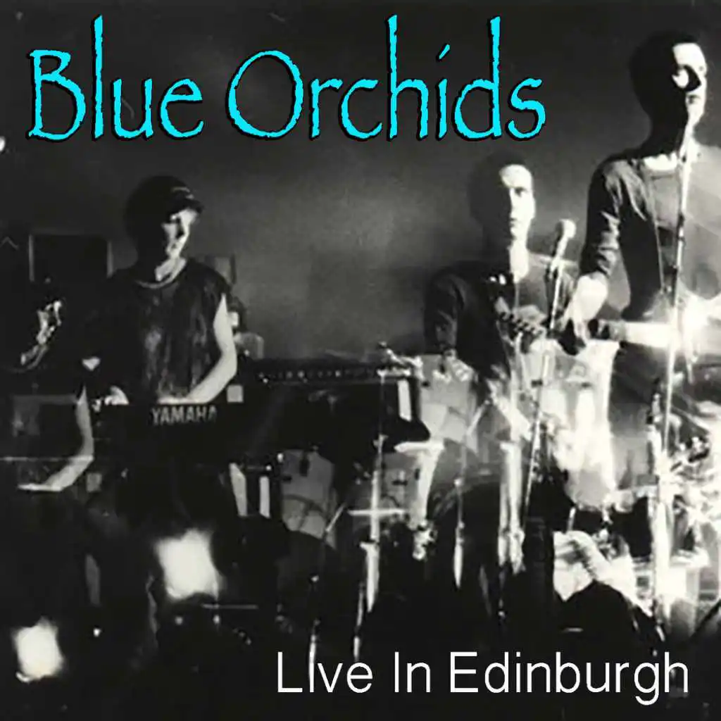 Blue Orchids Live In Edinburgh