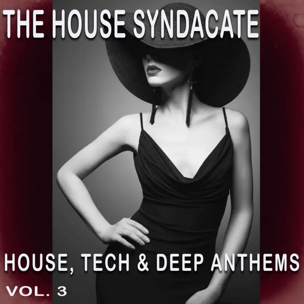 The House Syndacate, Vol. 3