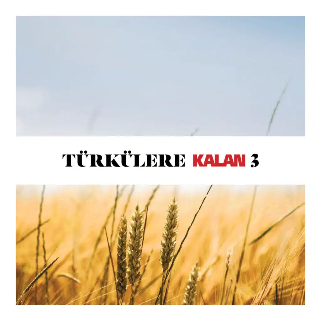 Türkülere Kalan, Vol. 3