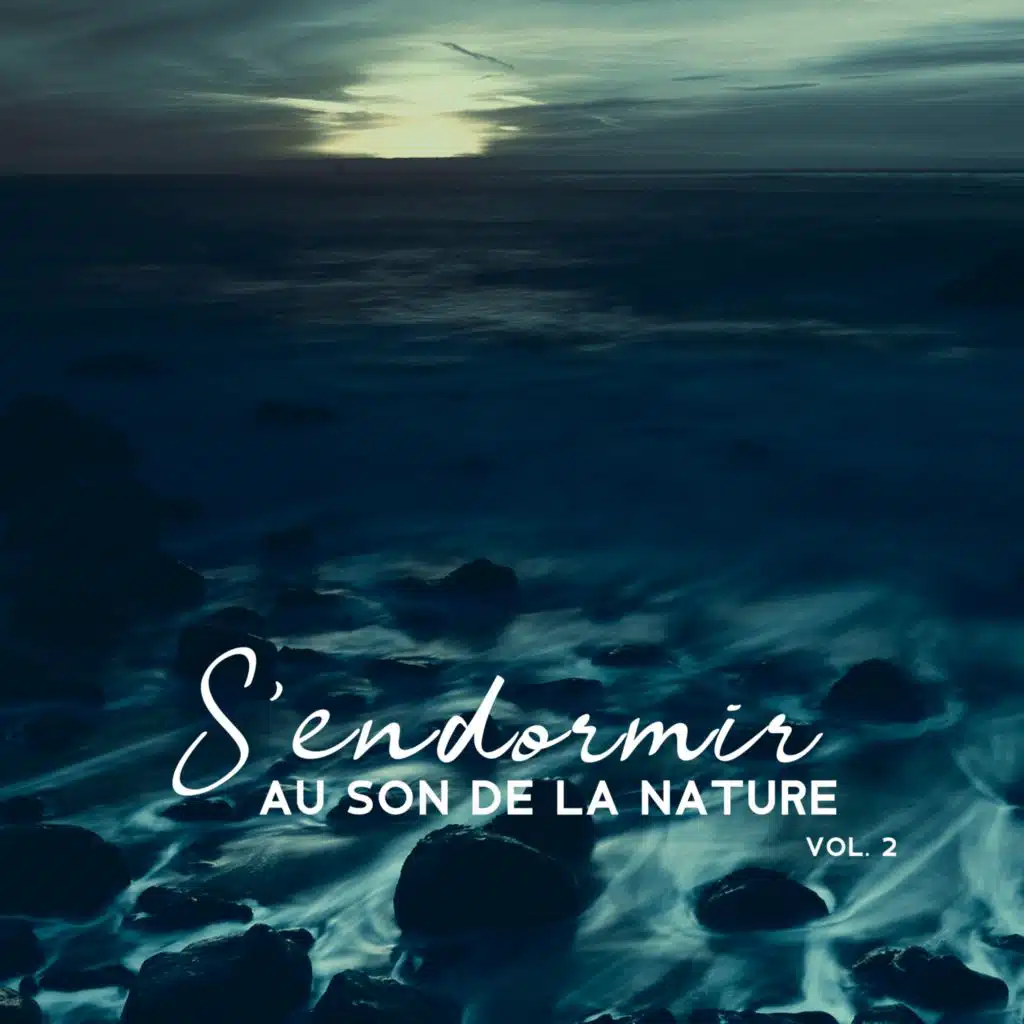 Musique d’ambiance (Cascade de zen)