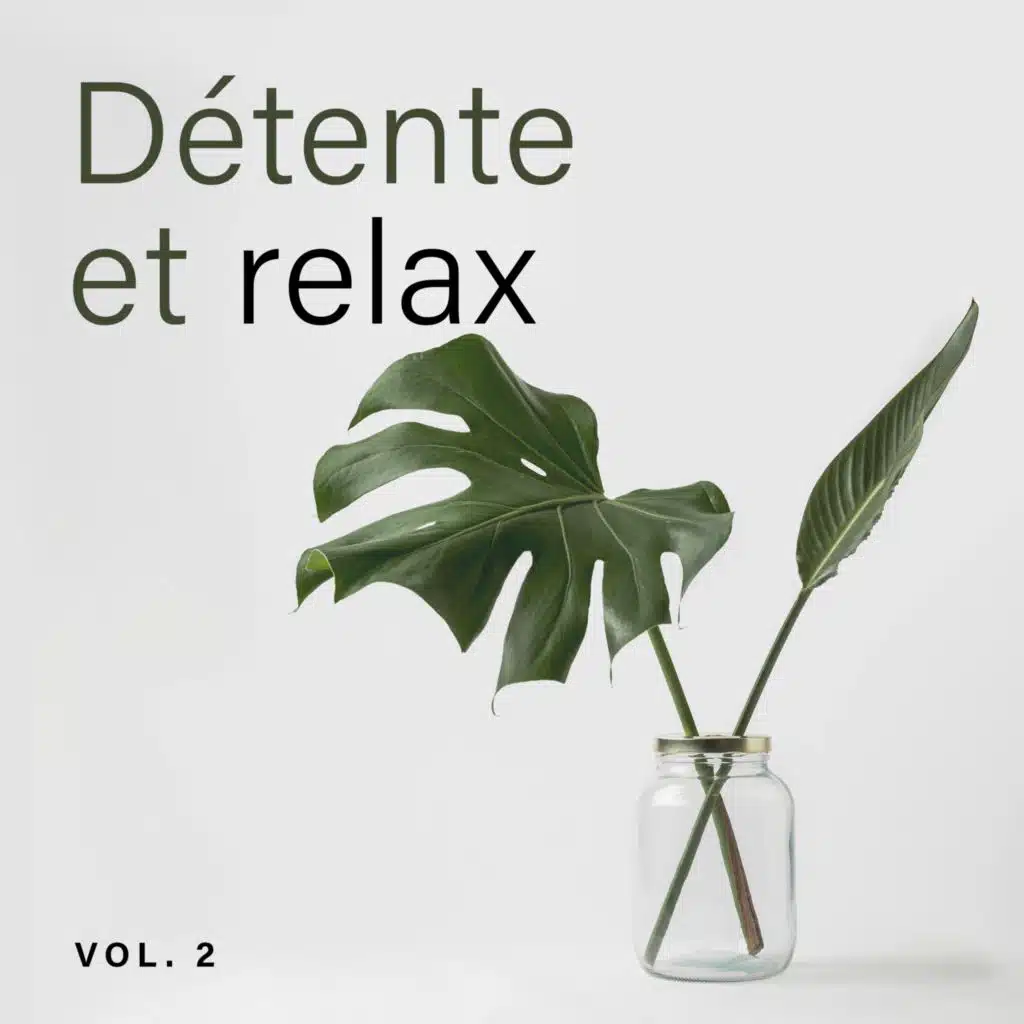 Détente et relax Vol. 2