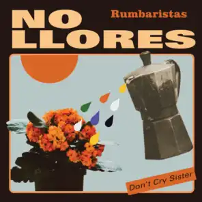No Llores (Don't Cry Sister) [feat. Laïs]