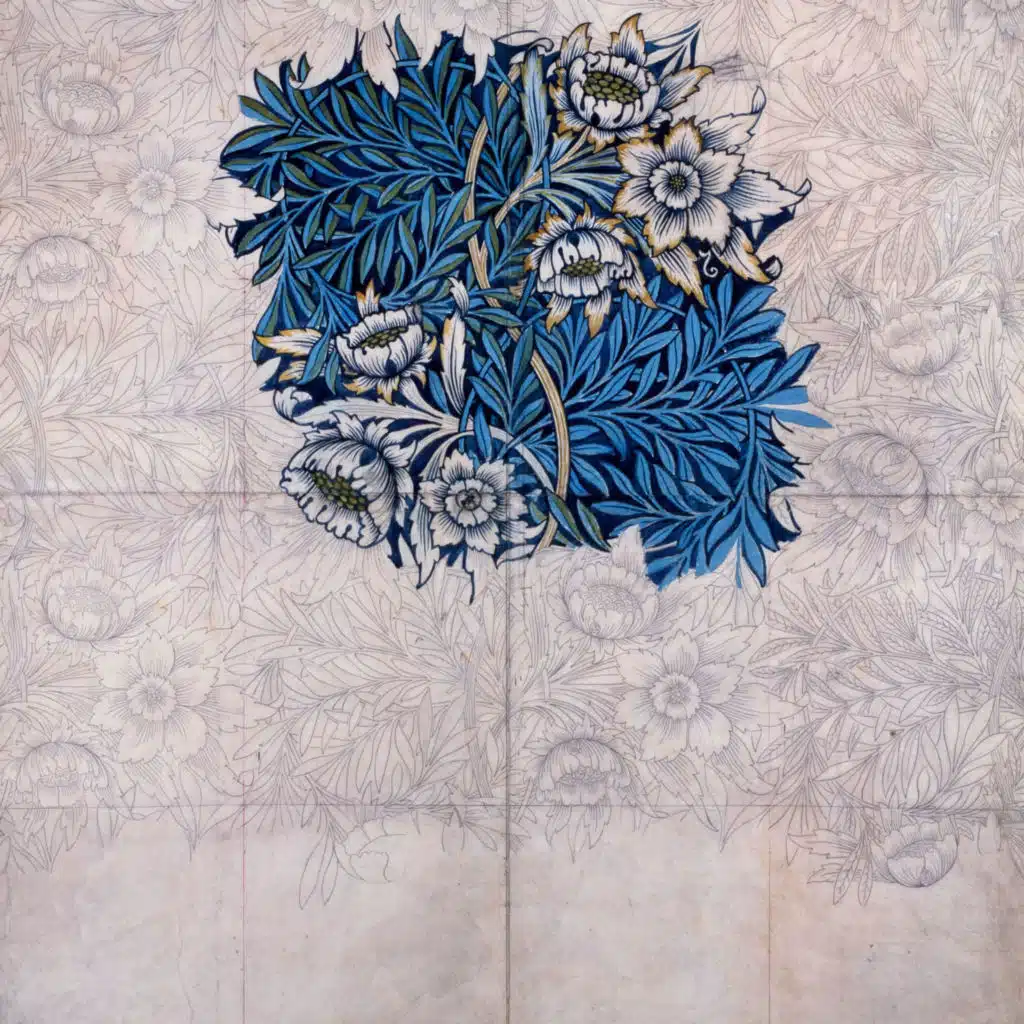 قراءات سمية الشيباني