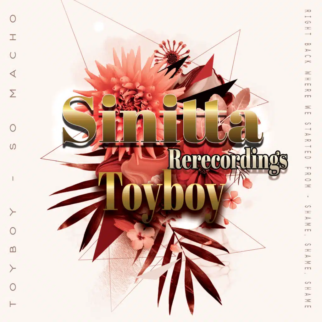 Toyboy (Rerecorded)