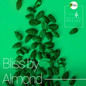 Bliss by Almond