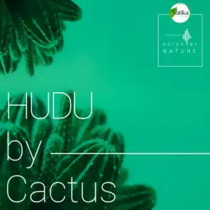 Hudu by Cactus
