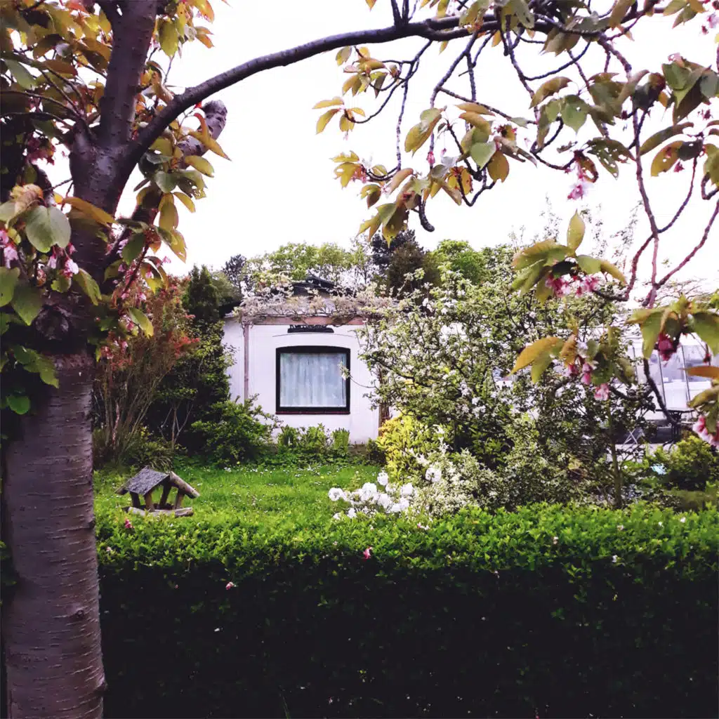 Garden of Evil