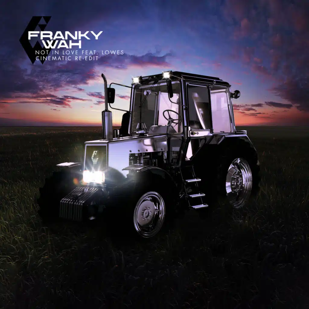 Not In Love (Cinematic Re-Edit) [feat. LOWES]