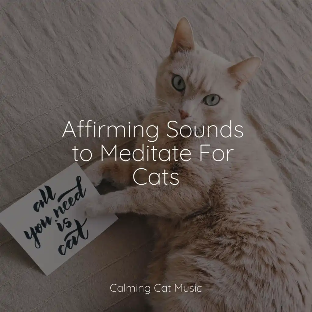 Music for Relaxing Cats, RelaxMyCat, Jazz Music Therapy For Cats