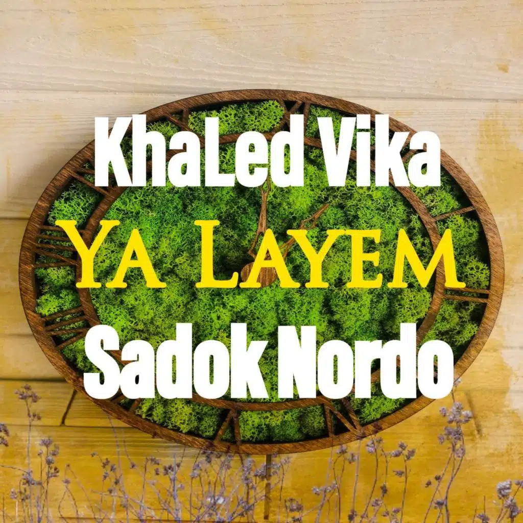 Ya Layem (feat. Sadok Nordo)