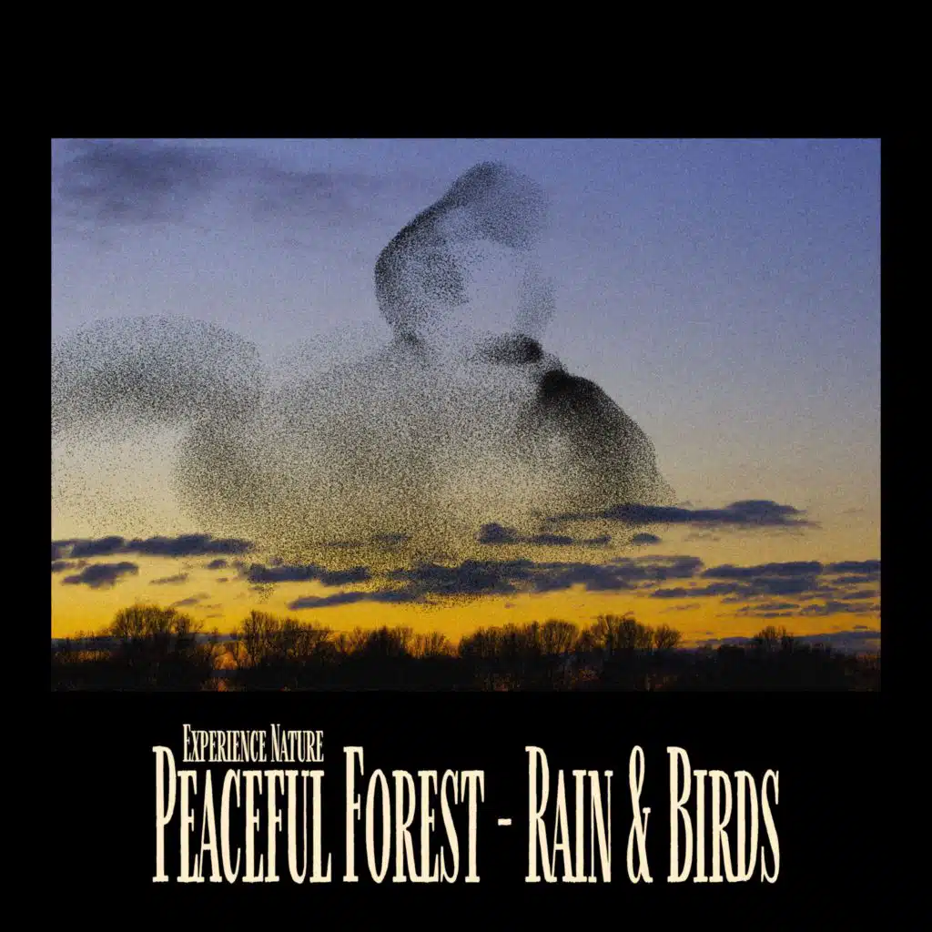 Light Rain & Breeze - Rainforest