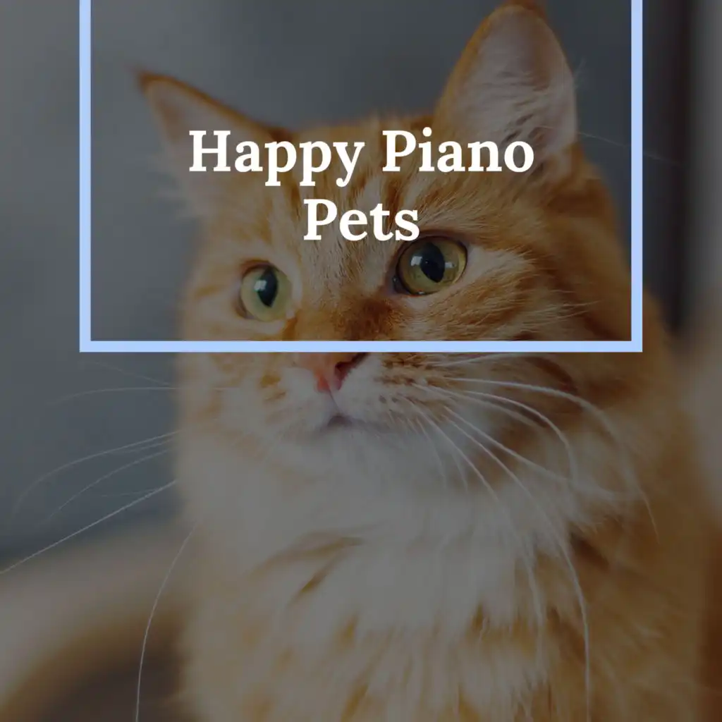 Happy Piano Cat