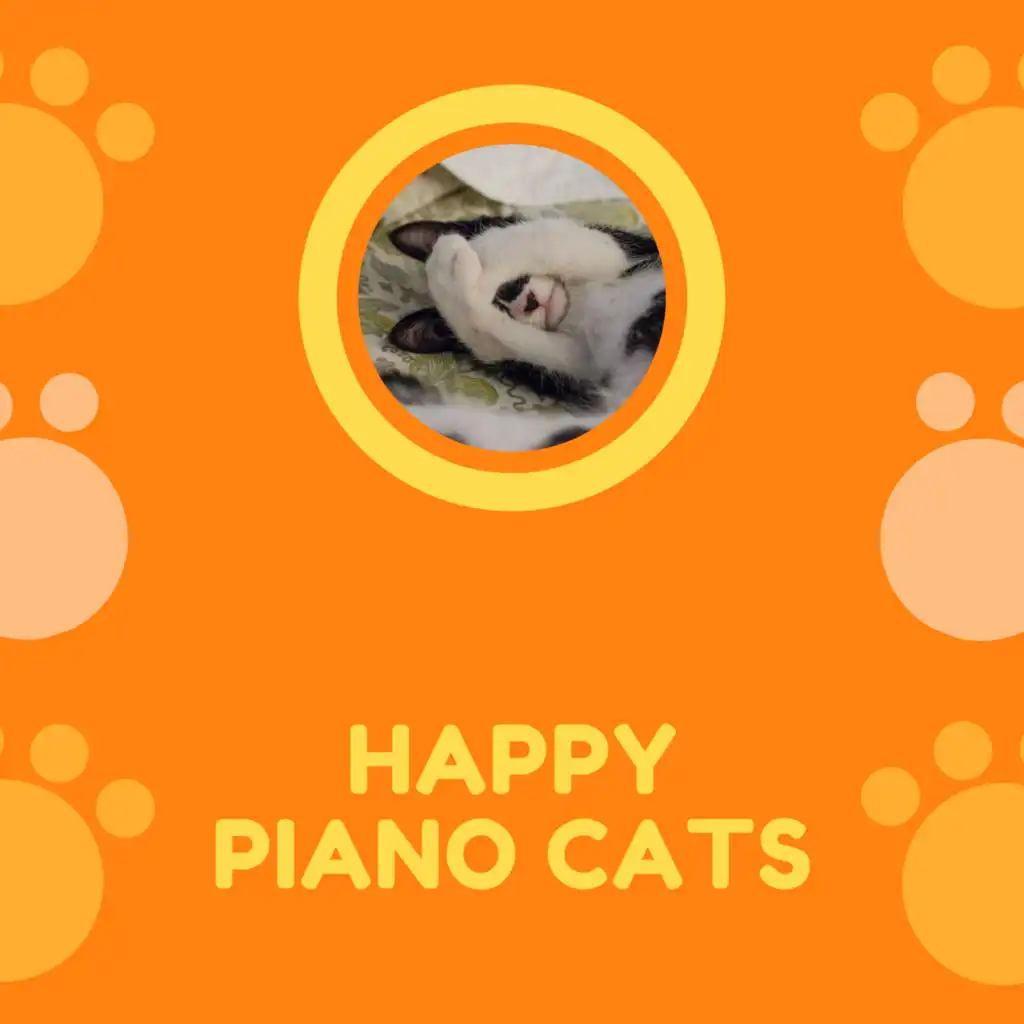 Happy Piano Cats