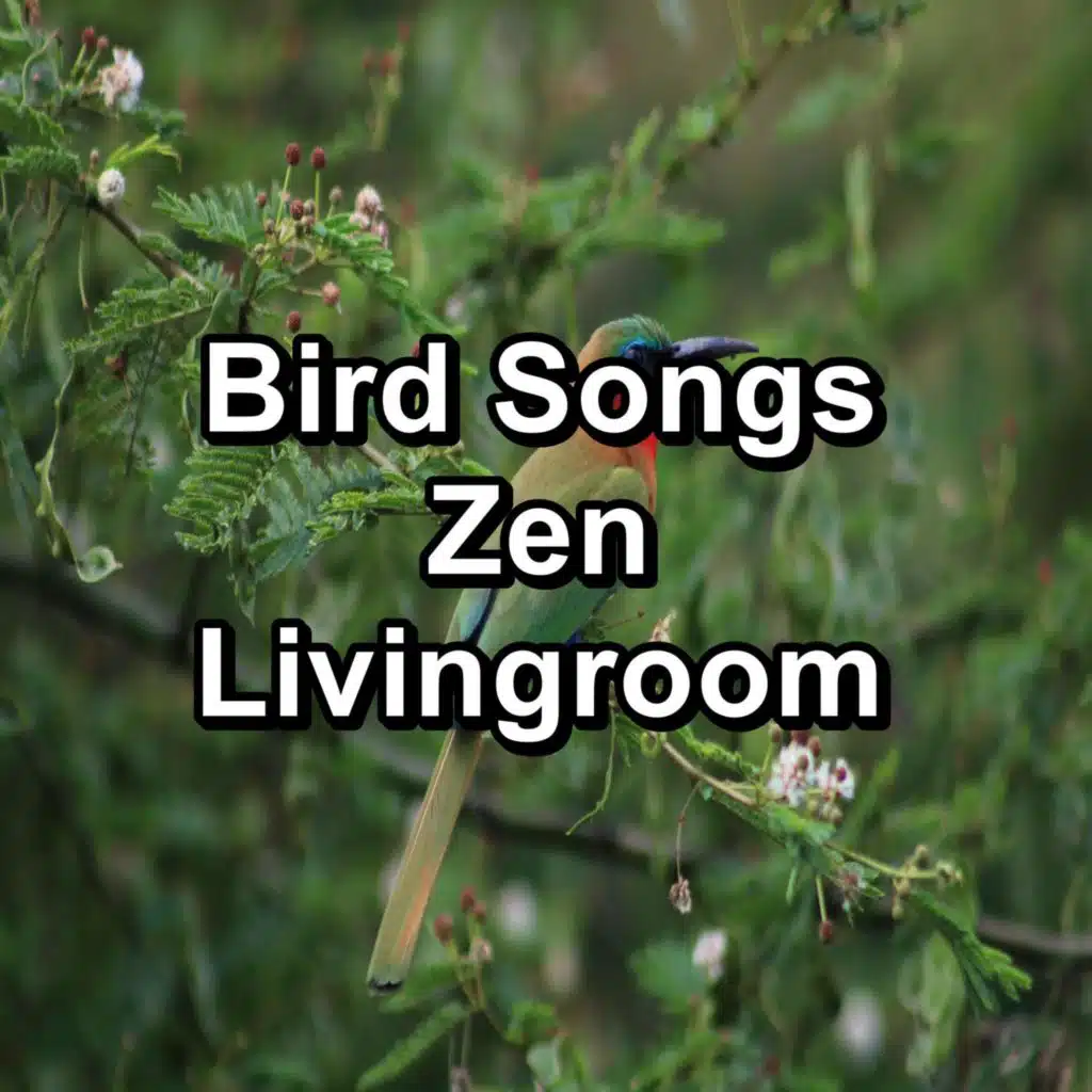 Cozy Bird Sounds Garden Bird Songs To Loop for 10 Hours
