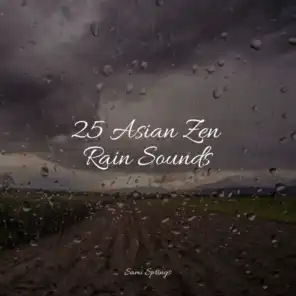 25 Asian Zen Rain Sounds