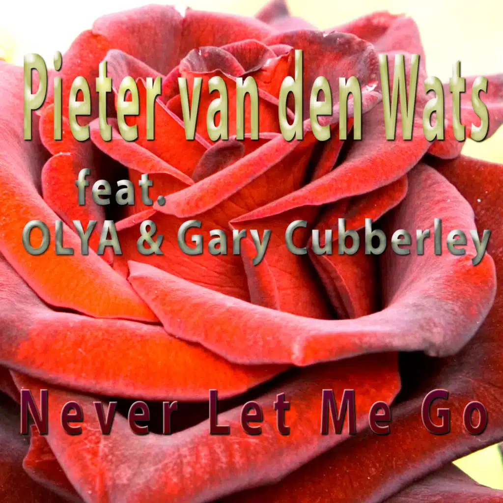 Never Let Me Go (feat. Gary Cubberley & OLYA)