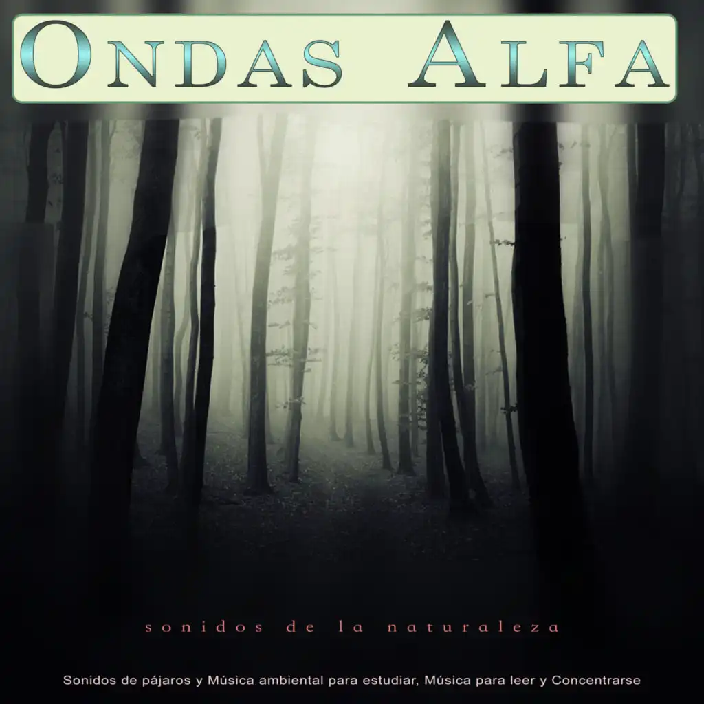 Ondas Alfa - Latidos binaurales - Musica para leer