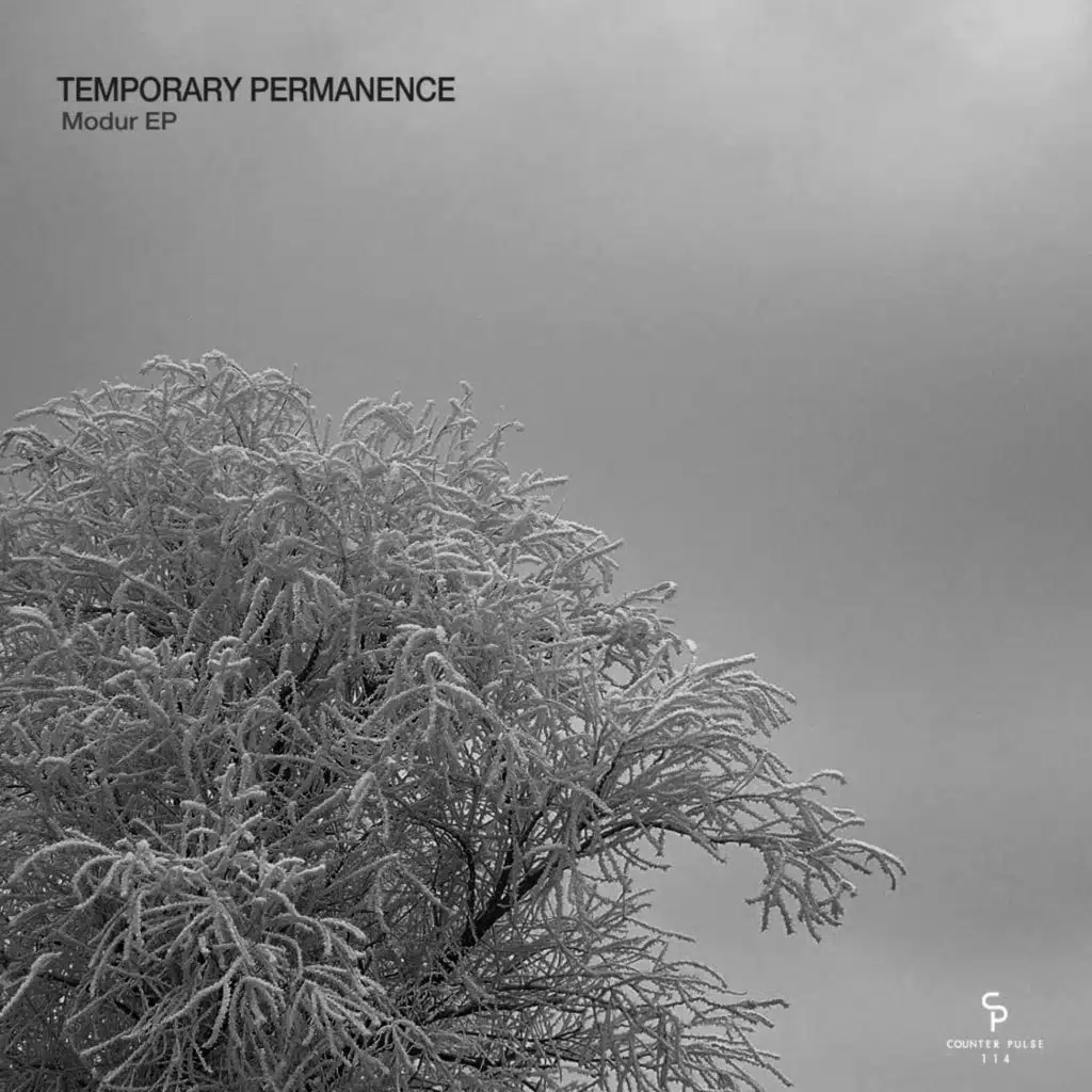 Temporary Permanence