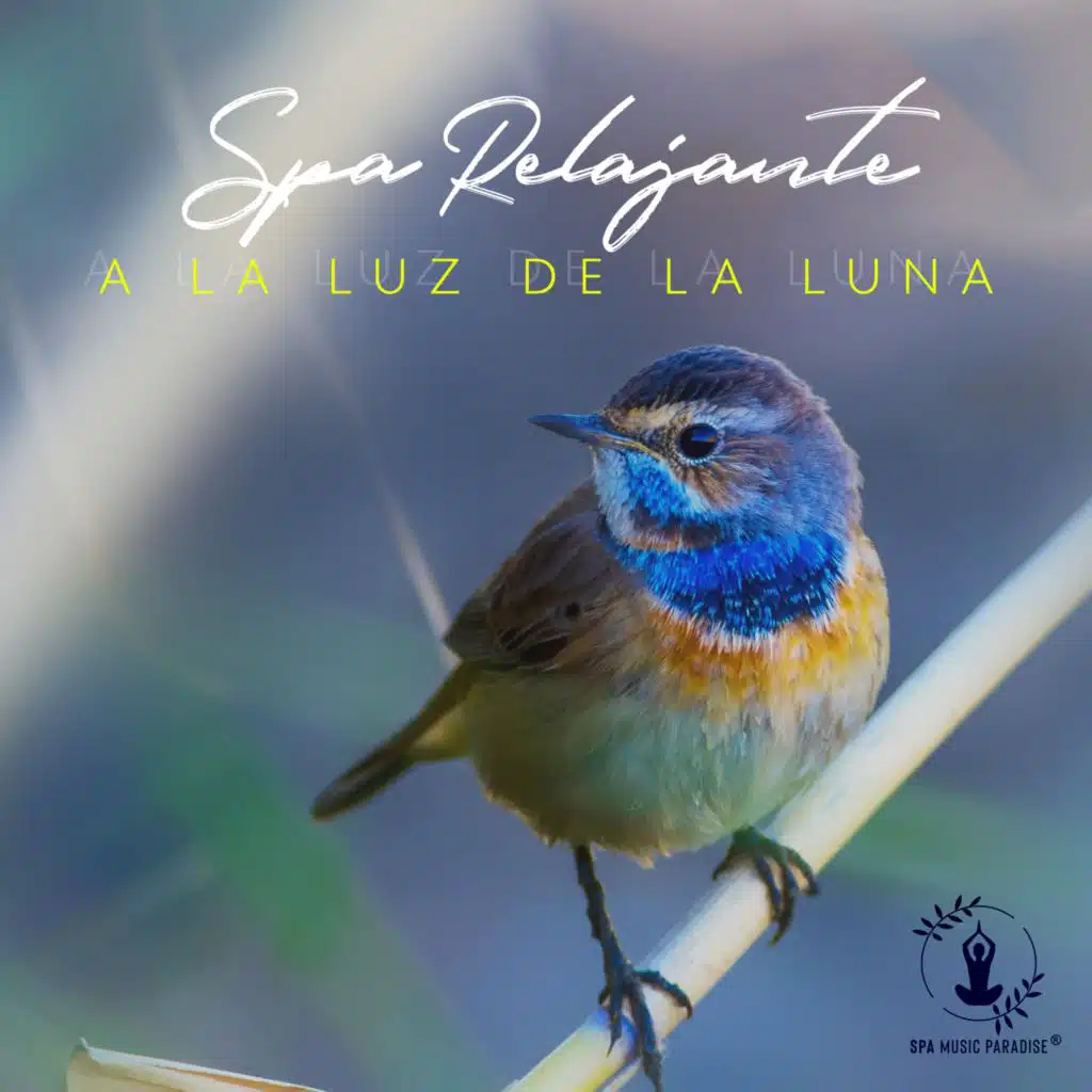 Susurros de Luna
