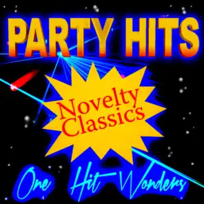 Party Hits Novelty Classics - One Hit Wonders