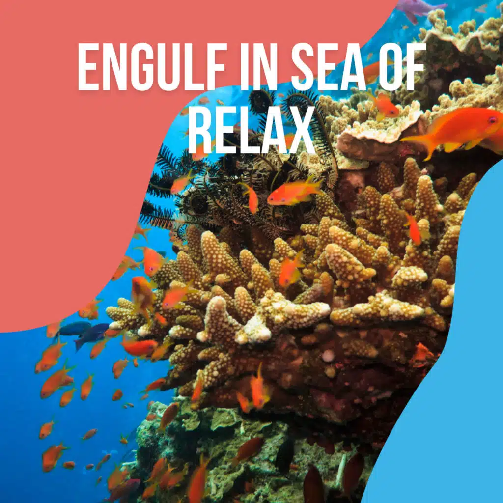 ! ! ! ! ! ! ! ! ! ! ! Engulf in Sea of Relax vol. 2