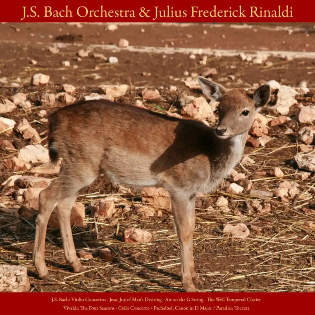 J.S. Bach: Violin Concerto; Jesu, Joy of Man's Desiring; Air On the G String; the Well - Tempered Clavier - Vivaldi: the Four Seasons; Cello Concerto - Pachelbel: Canon in D Major - Paradisi: Toccata - Vol. VIII