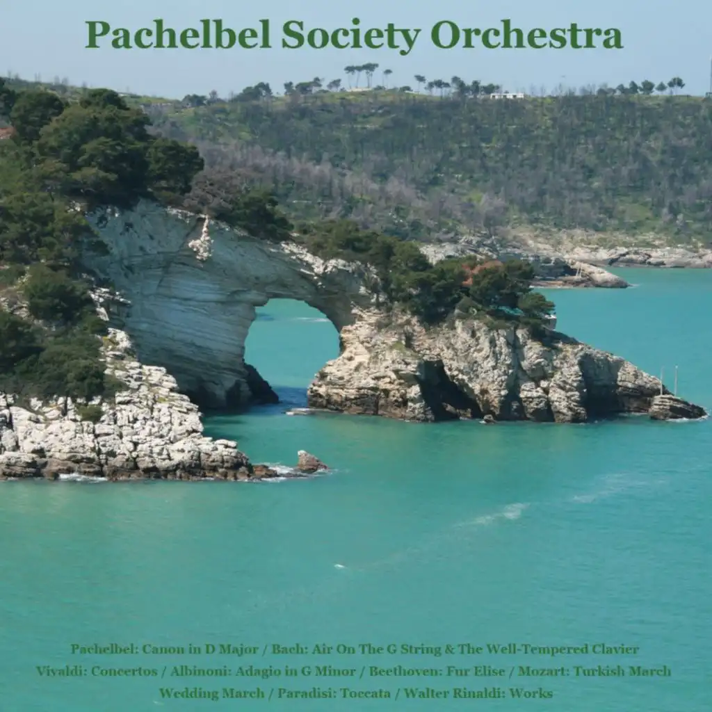 Pachelbel: Canon in D Major / Bach: Air On The G String & The Well -Tempered Clavier / Vivaldi: Concertos /  Albinoni: Adagio in G Minor / Beethoven: Fur Elise / Mozart: Turkish March / Wedding March / Paradisi: Toccata / Walter Rinaldi: Works