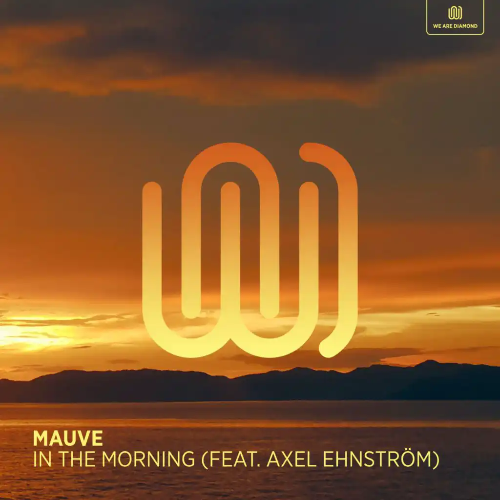 In the Morning (feat. Axel Ehnström)