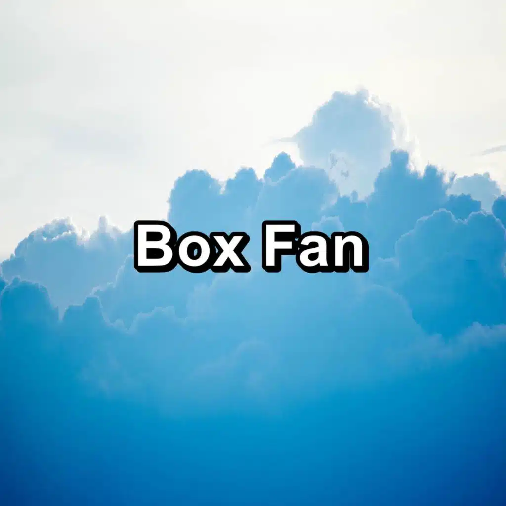 Box Fan