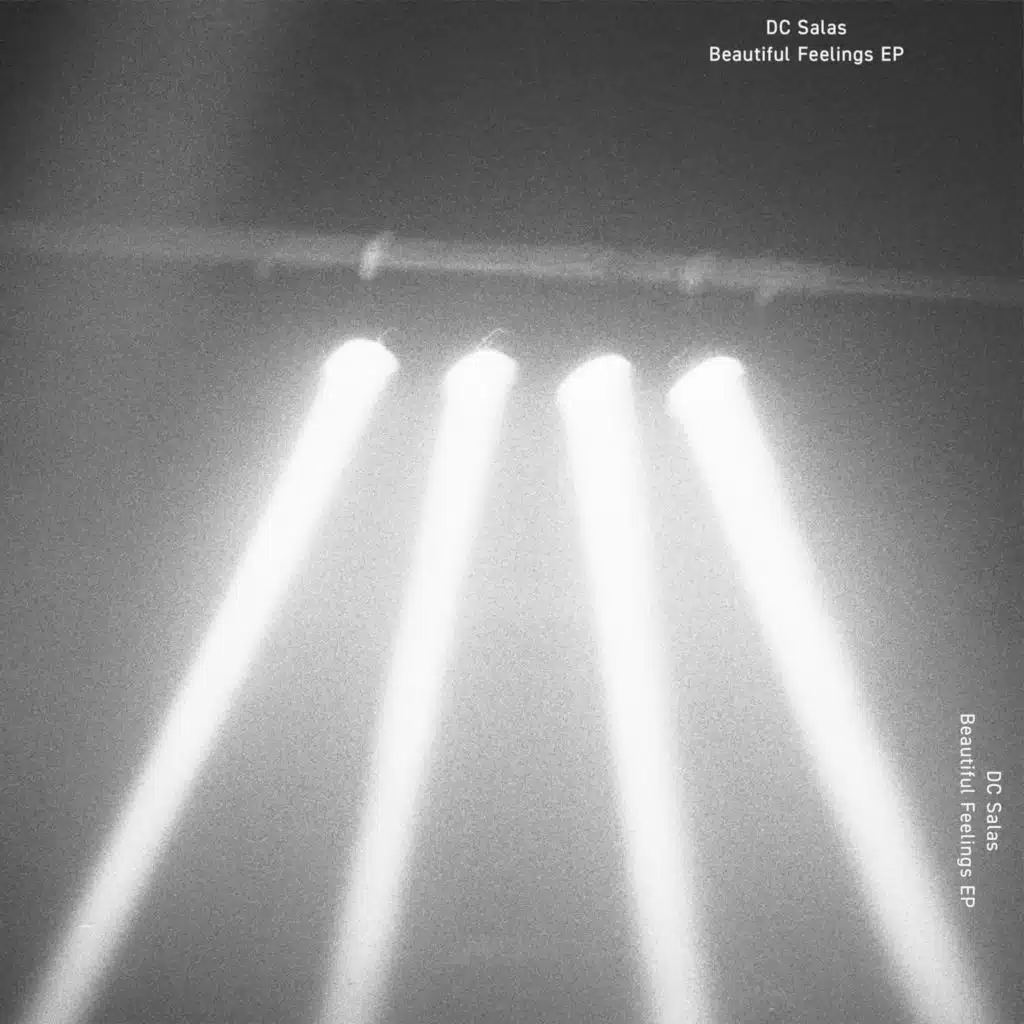 The Beautiful Feelings EP