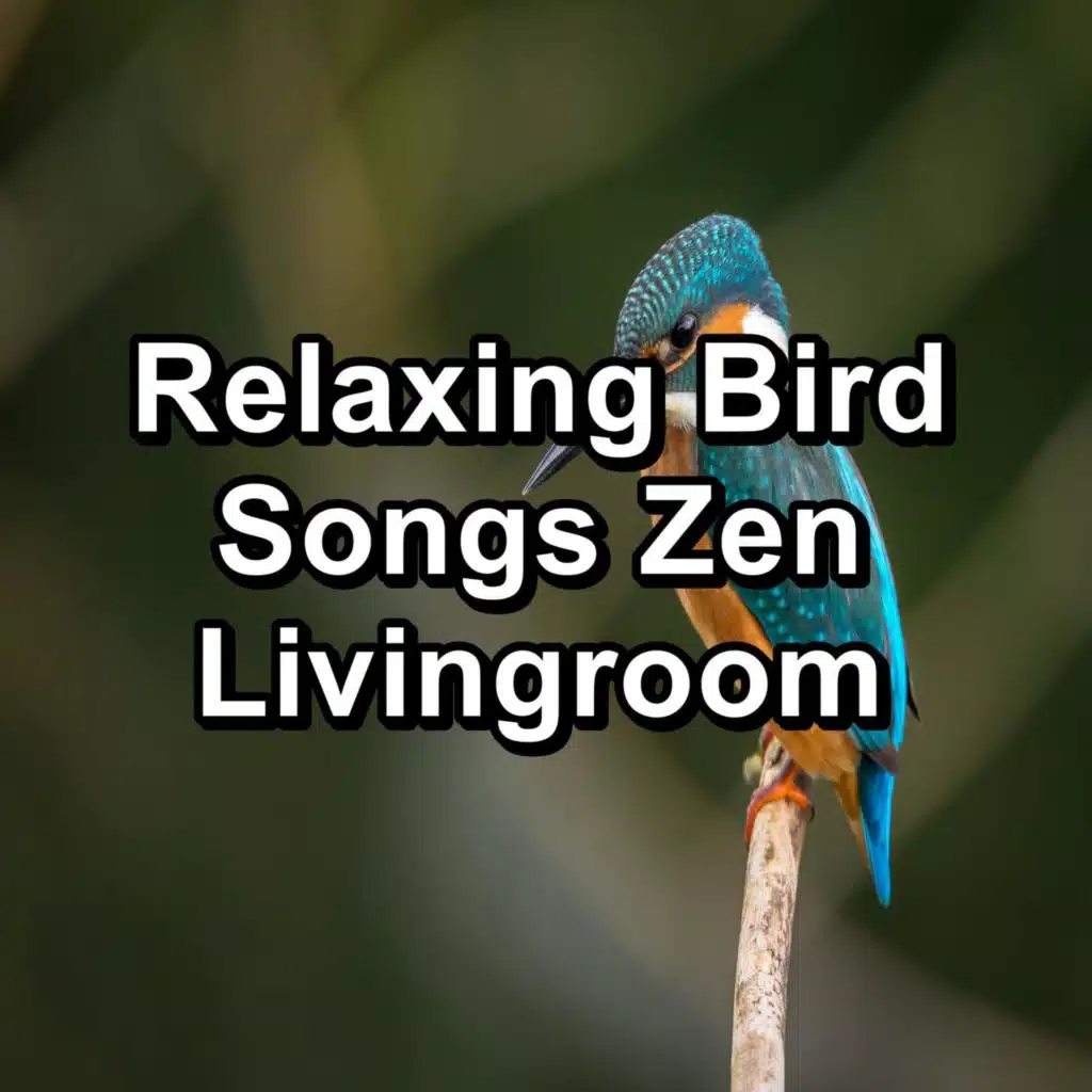 Relaxing Bird Songs Zen Livingroom