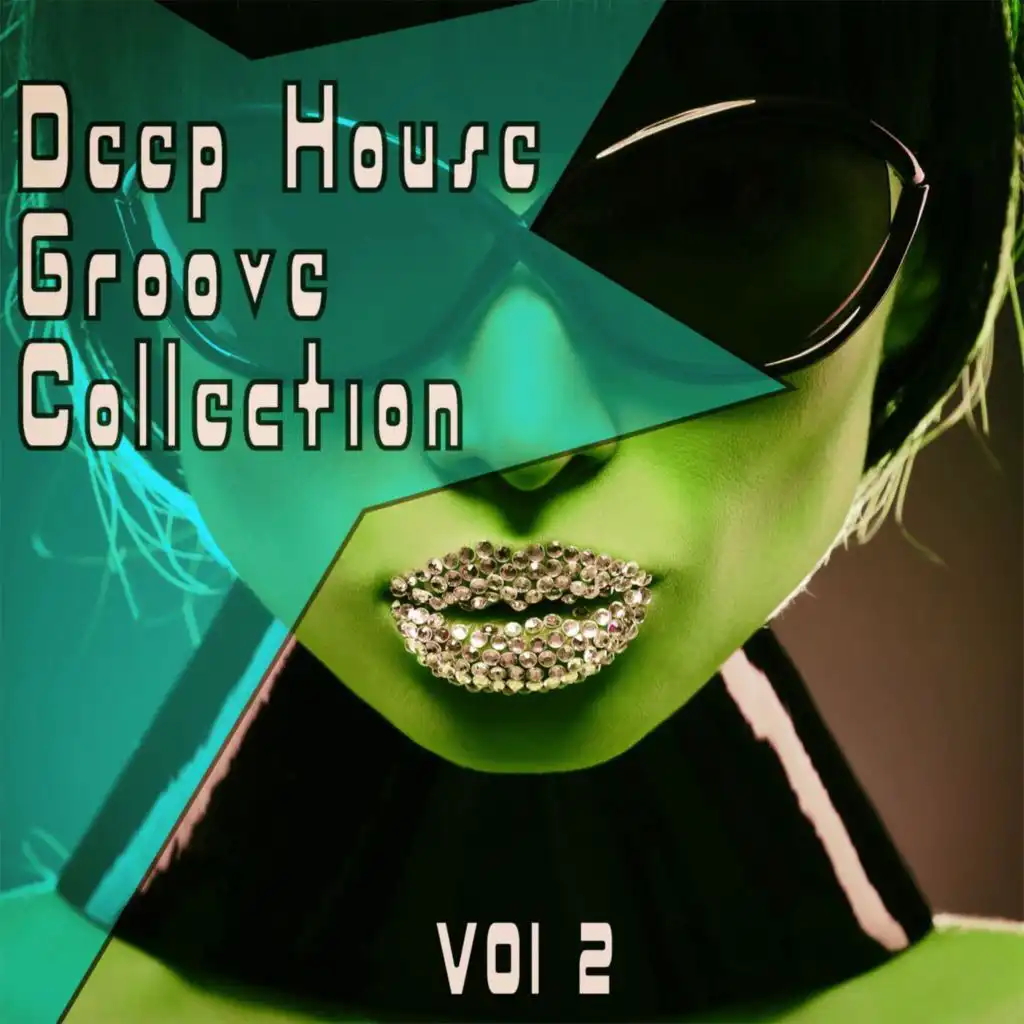 Deep Grooves Collection, Vol. 2 - the Finest Deep House Grooves