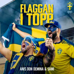 Flaggan i topp (Sveriges Officiella EM-låt 2021)
